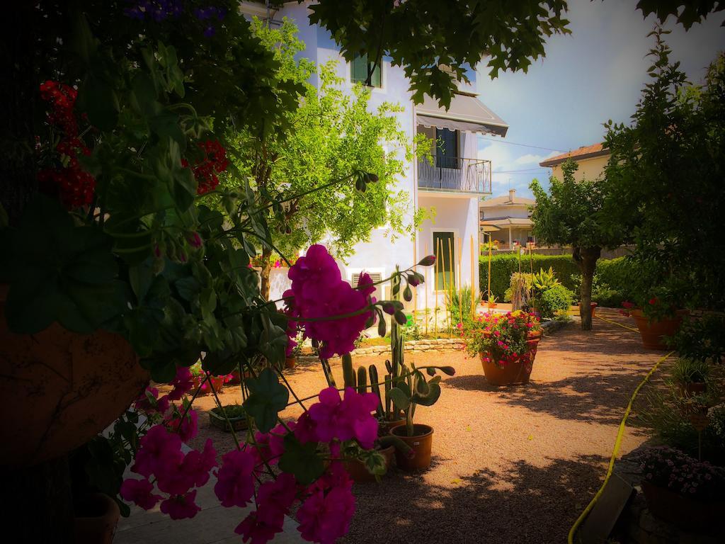 Bed & Breakfast Don Carlos San Martino di Lupari Kültér fotó